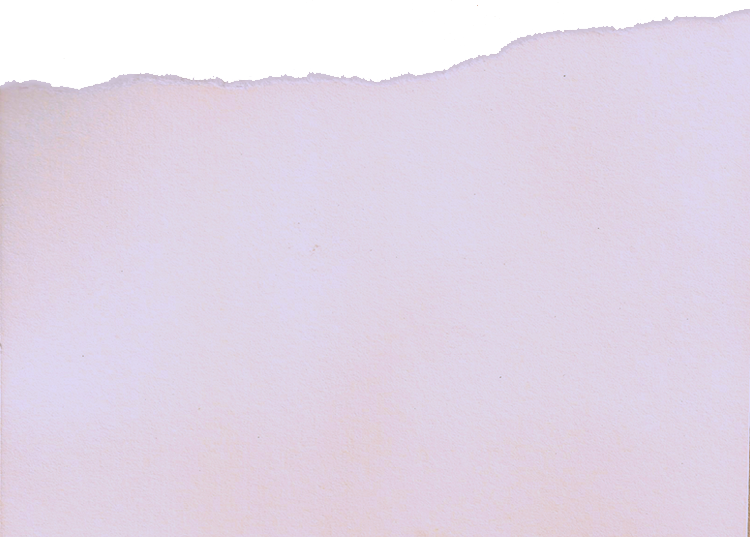 White Card Stock Paper with One Ripped Edge